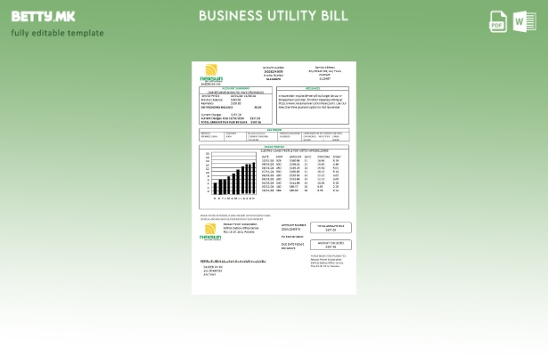 модерен стил Панама Nexsun Power Corporation за деловна сметка за електрична ене